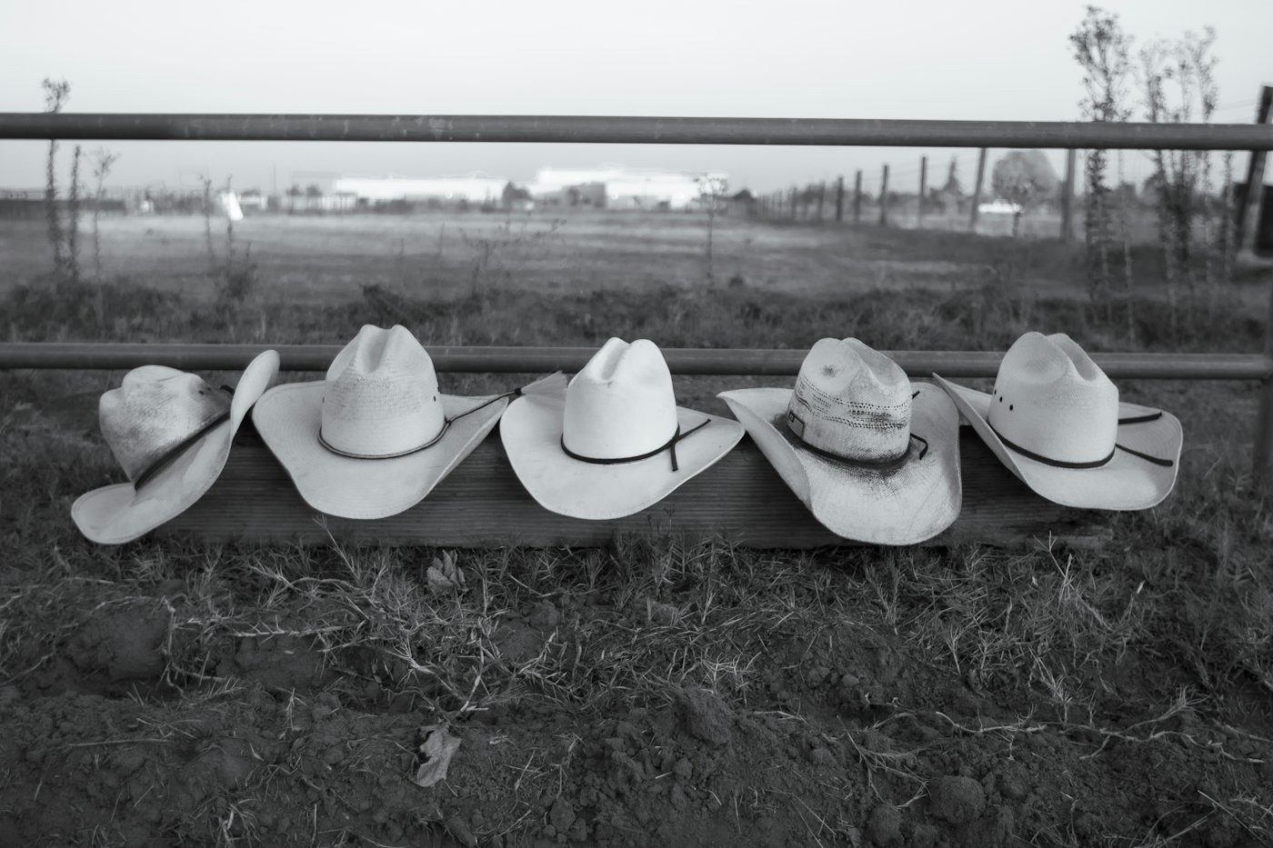 Row of white cowboy hats on a fence